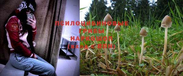 MDMA Нязепетровск